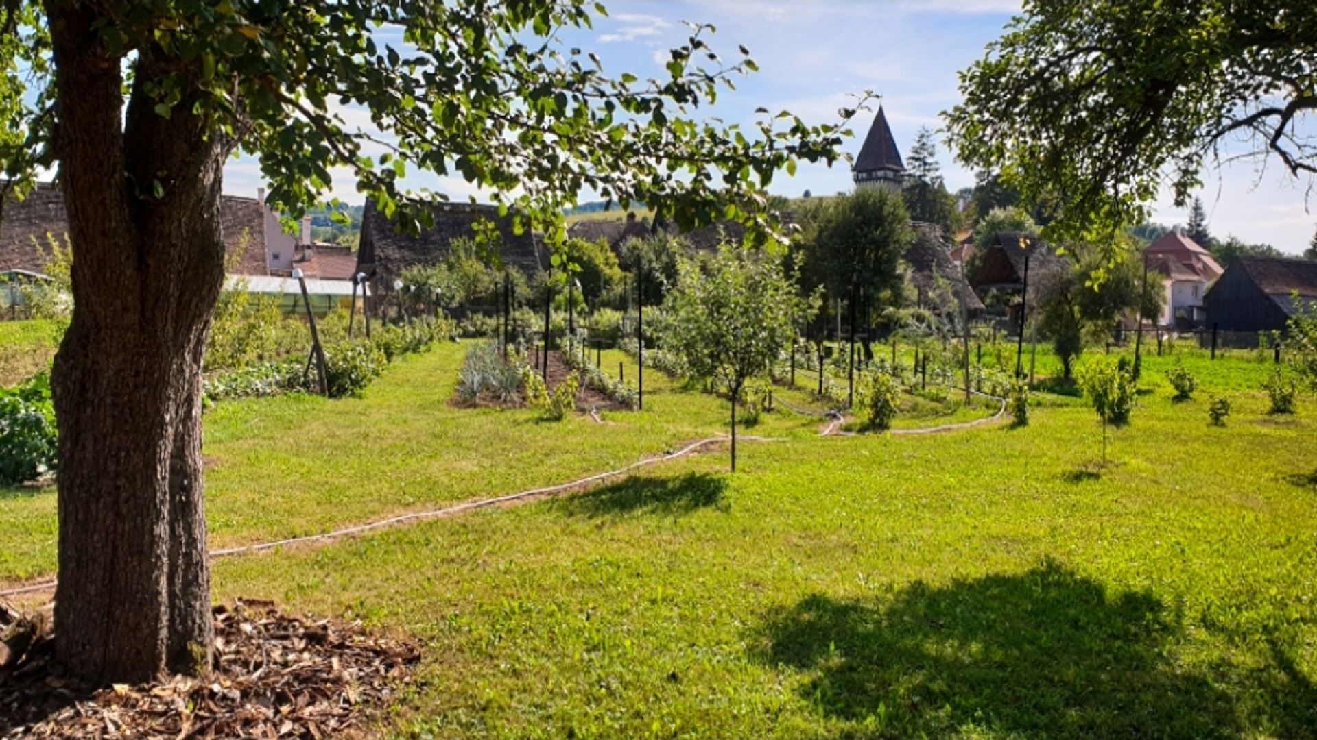 CoverGarden