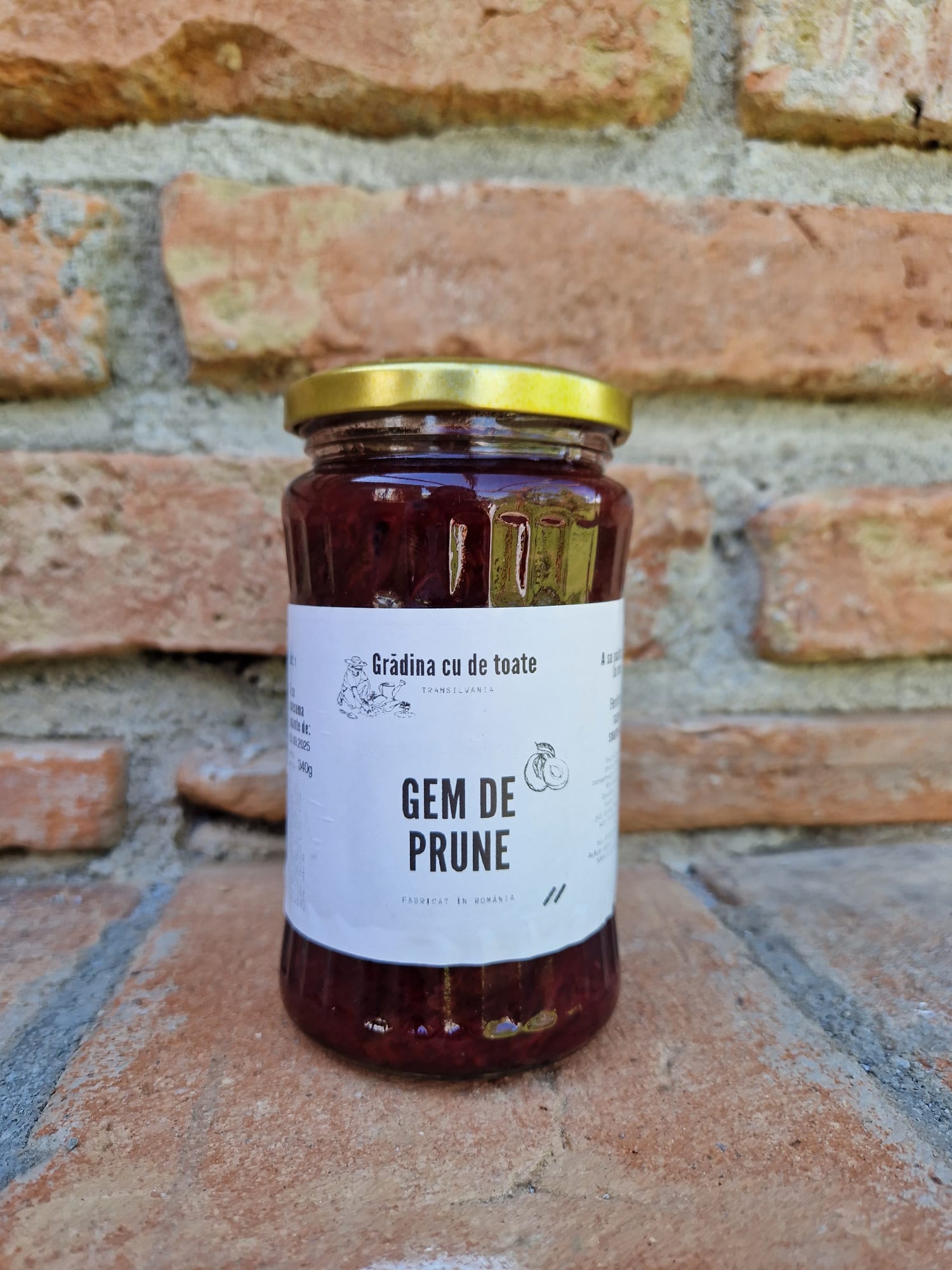 Gem prune